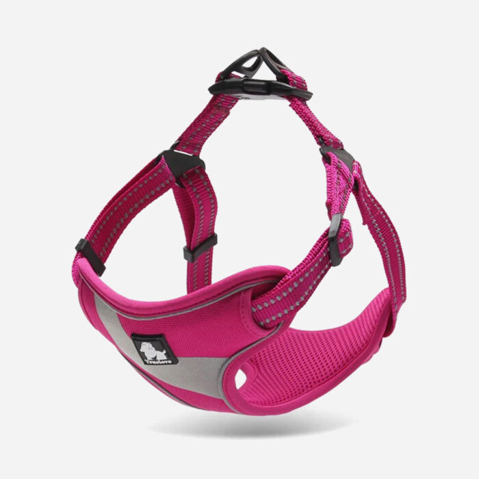 Ruffwear Front Range Medium